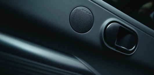 Premium sound system speaker